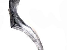 AP-001091-3