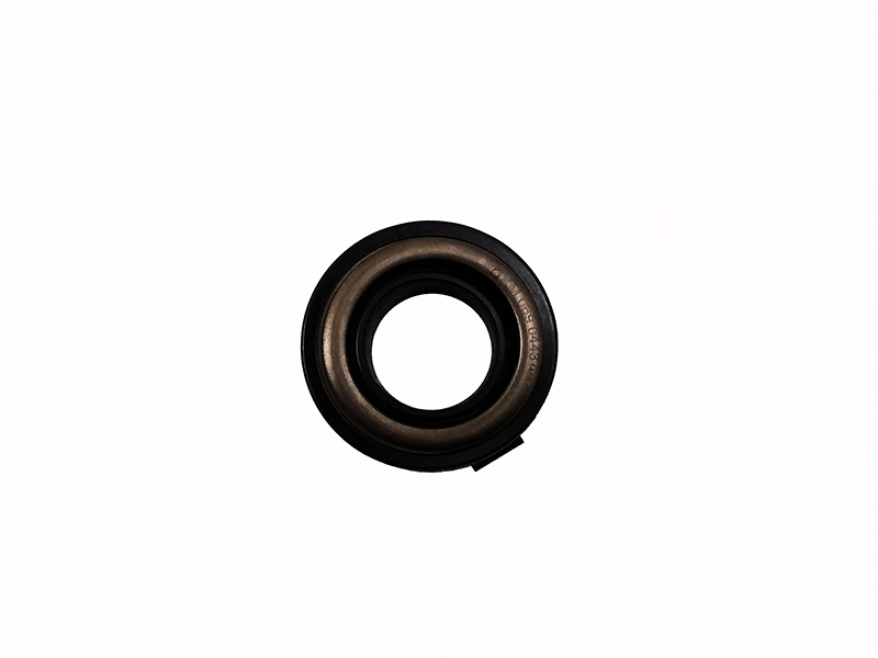 FI-12502415-2