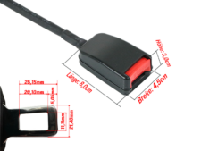 SG-SS-12-1